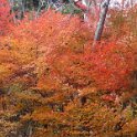 2017_JAPON_Arima_Onsen_19