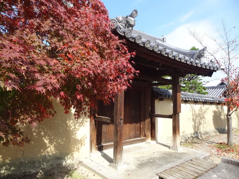 2017_Japon_Ikaruga-1-Temple_Horyuji_17