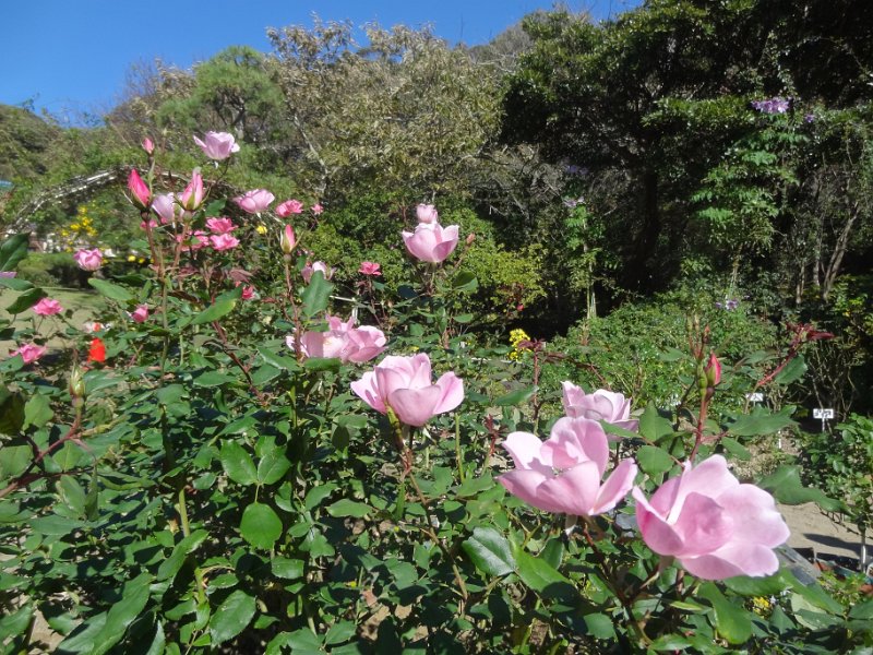 2019_Japon-2-Kamakura-Museum_of_Literature_08