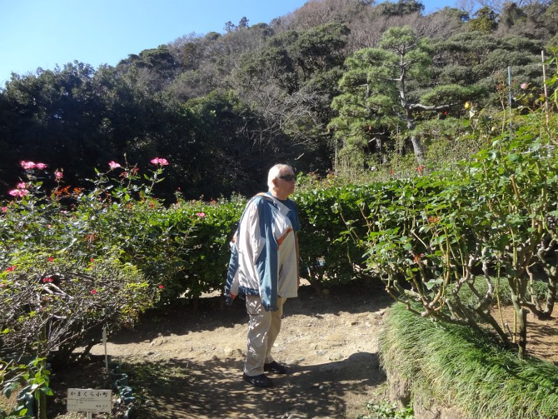 2019_Japon-2-Kamakura-Museum_of_Literature_10