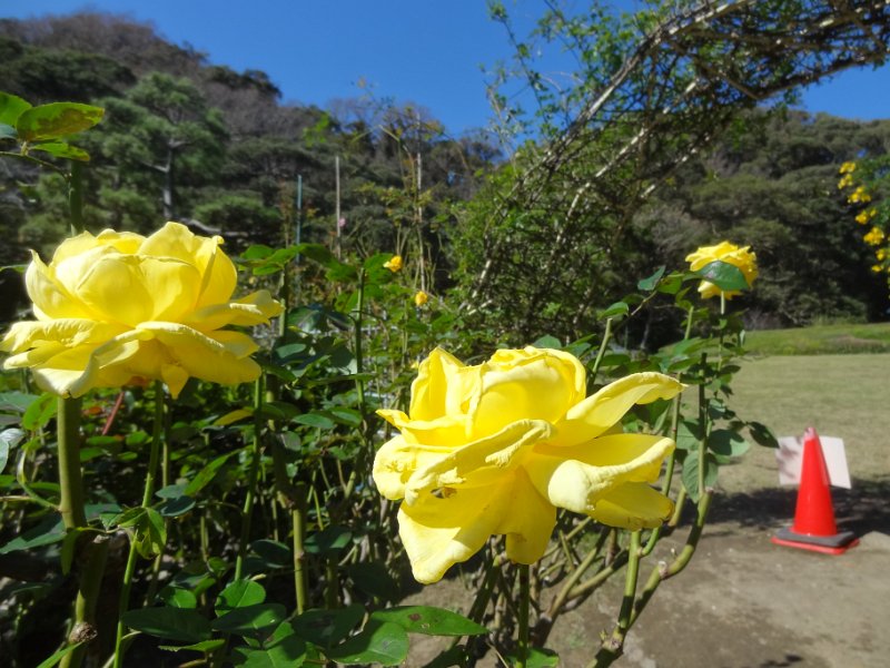 2019_Japon-2-Kamakura-Museum_of_Literature_11
