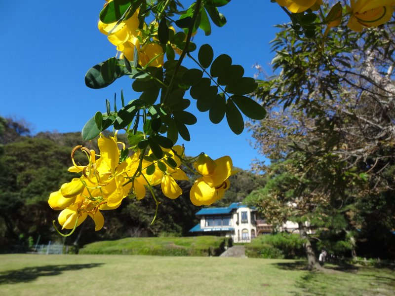 2019_Japon-2-Kamakura-Museum_of_Literature_14