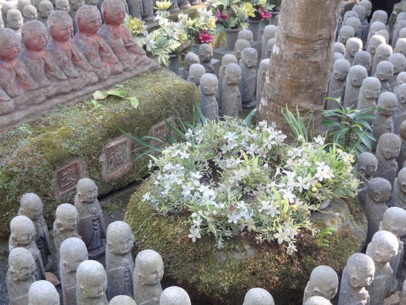 2019_Japon-2-Kamakura-Temple_Hase-Dera_12