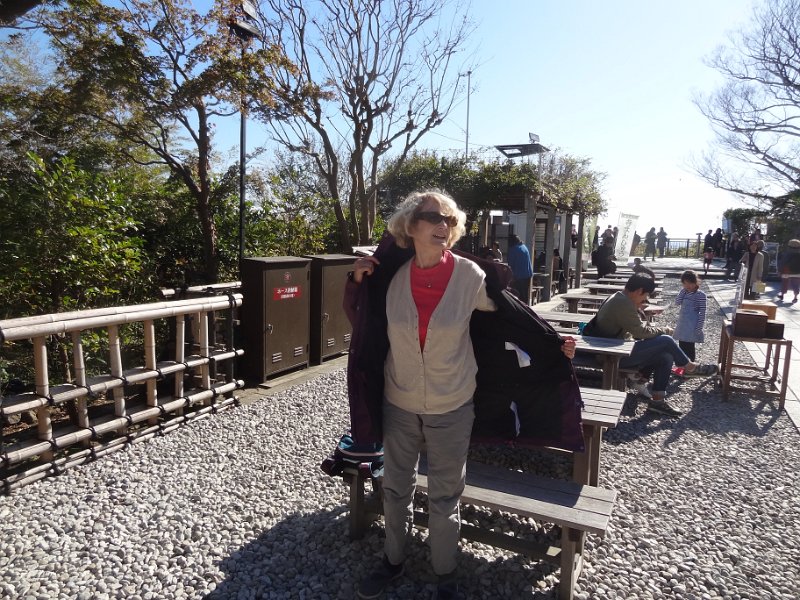 2019_Japon-2-Kamakura-Temple_Hase-Dera_17