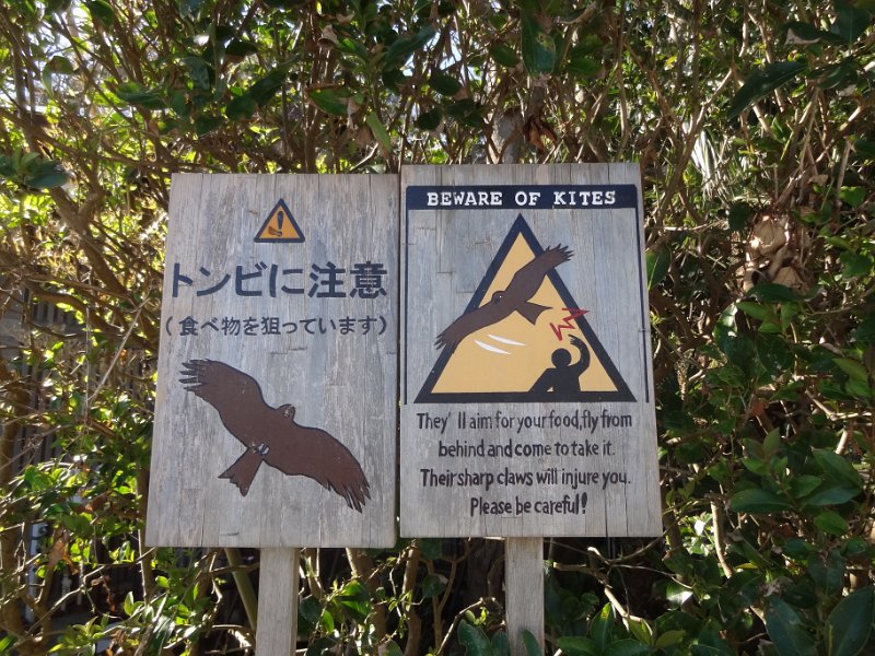 2019_Japon-2-Kamakura-Temple_Hase-Dera_24