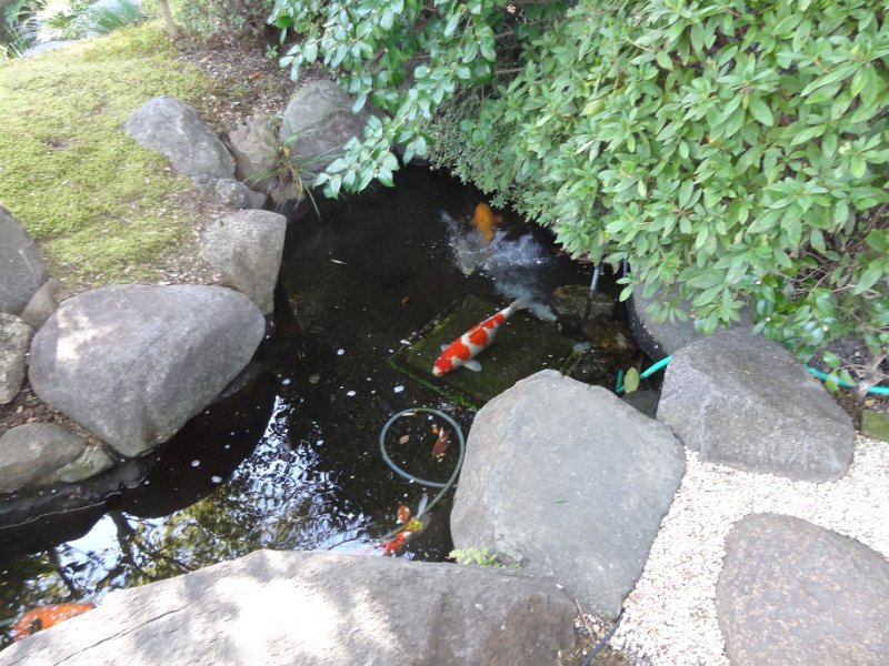 2019_Japon-2-Kamakura-Temple_Hase-Dera_42