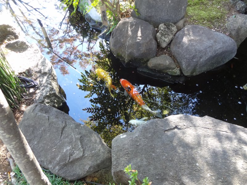 2019_Japon-2-Kamakura-Temple_Hase-Dera_43