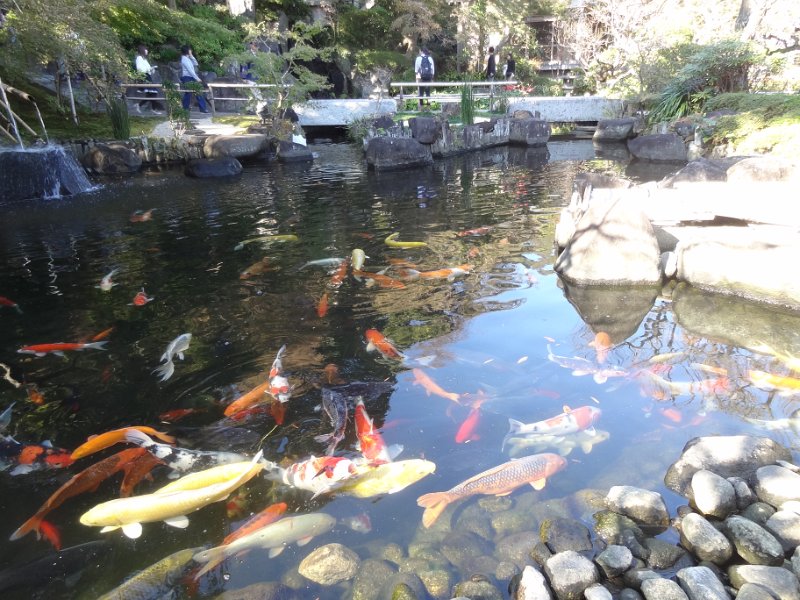 2019_Japon-2-Kamakura-Temple_Hase-Dera_48