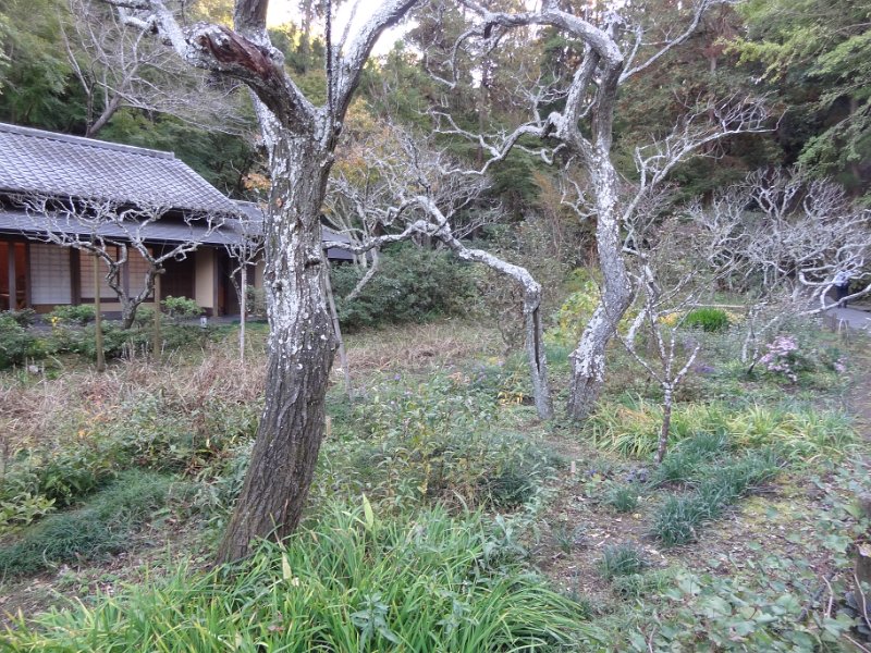 2019_Japon-2-Kamakura-Tokei-ji_03