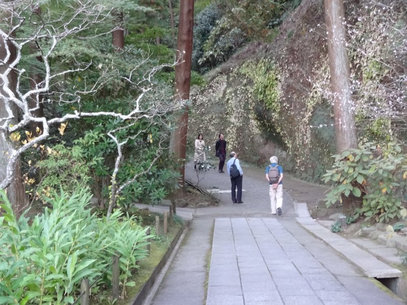 2019_Japon-2-Kamakura-Tokei-ji_05