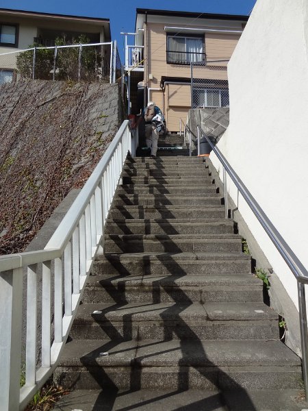 2019_Japon-3-Ile_Enoshima_05