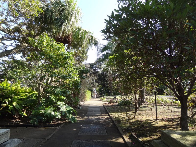 2019_Japon-3-Ile_Enoshima_28