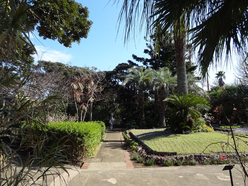2019_Japon-3-Ile_Enoshima_29