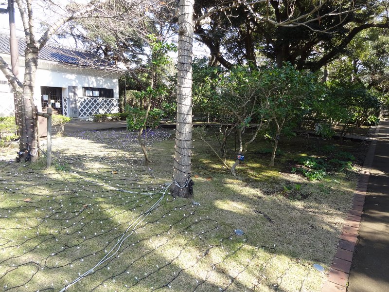 2019_Japon-3-Ile_Enoshima_30