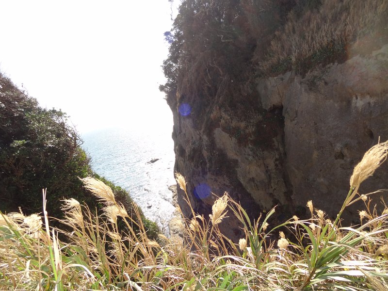 2019_Japon-3-Ile_Enoshima_38