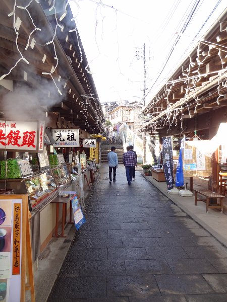 2019_Japon-3-Ile_Enoshima_40