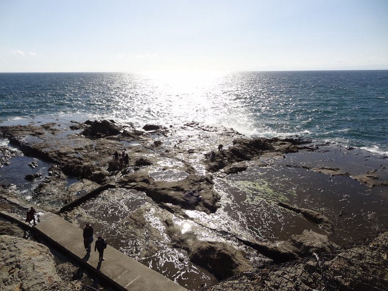 2019_Japon-3-Ile_Enoshima_49