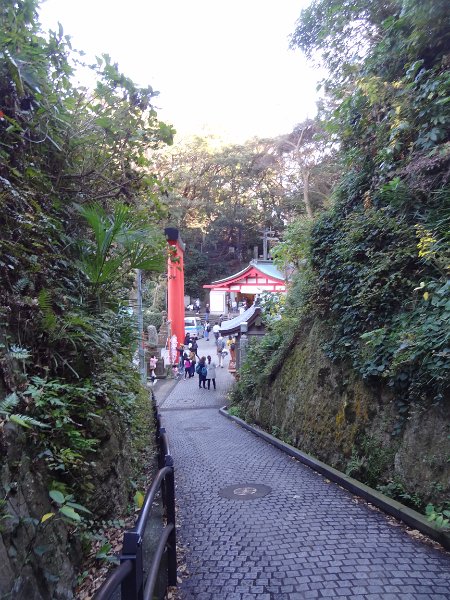 2019_Japon-3-Ile_Enoshima_59