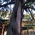 2019_Japon-2-Kamakura-Engaku-ji_16