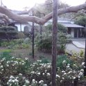 2019_Japon-2-Kamakura-Gokuraku-Ji_05