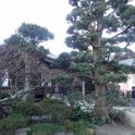 2019_Japon-2-Kamakura-Gokuraku-Ji_07