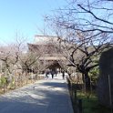 2019_Japon-2-Kamakura-Kencho-ji_02