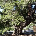 2019_Japon-2-Kamakura-Kencho-ji_10