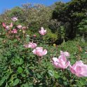 2019_Japon-2-Kamakura-Museum_of_Literature_08