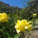 2019_Japon-2-Kamakura-Museum_of_Literature_11