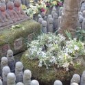 2019_Japon-2-Kamakura-Temple_Hase-Dera_12