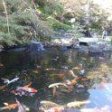 2019_Japon-2-Kamakura-Temple_Hase-Dera_47