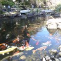 2019_Japon-2-Kamakura-Temple_Hase-Dera_48