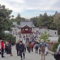 2019_Japon-2-Kamakura-Tsurugaoka_Hachimangu_Shrine_05
