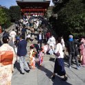 2019_Japon-2-Kamakura-Tsurugaoka_Hachimangu_Shrine_26