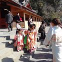 2019_Japon-2-Kamakura-Tsurugaoka_Hachimangu_Shrine_29