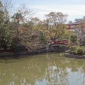 2019_Japon-2-Kamakura-Tsurugaoka_Hachimangu_Shrine_33