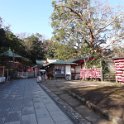 2019_Japon-3-Ile_Enoshima_07
