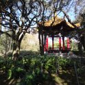 2019_Japon-3-Ile_Enoshima_22