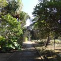 2019_Japon-3-Ile_Enoshima_28