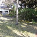 2019_Japon-3-Ile_Enoshima_30