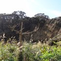 2019_Japon-3-Ile_Enoshima_37