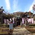 2019_Japon-3-Ile_Enoshima_41