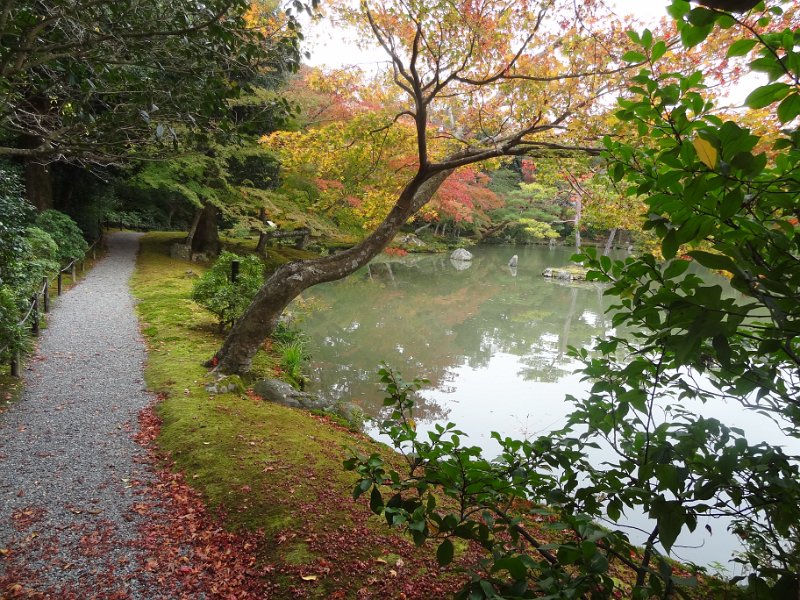 2015_Japon_Kyoto-4-Kinkaku-ji_05