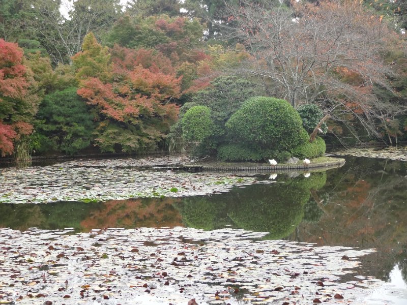 2015_Japon_Kyoto-5-Tenryuji_03