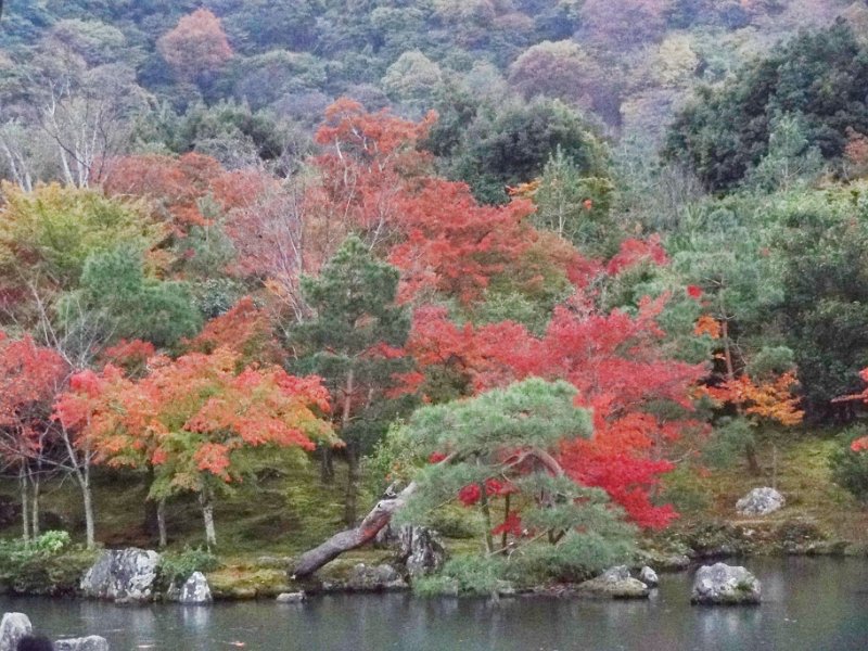 2015_Japon_Kyoto-5-Tenryuji_42