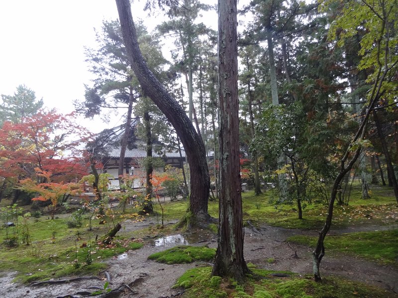2017_Japon_Nara-12-Temple_Toshodaiji_10