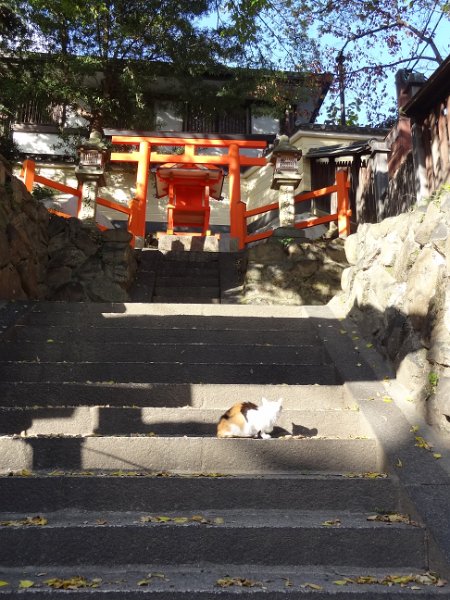 2017_Japon_Nara-14-divers_04