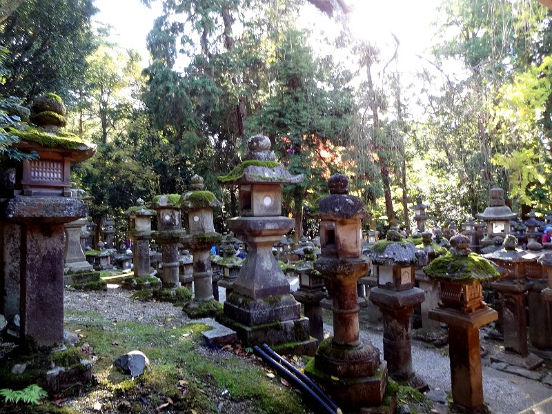 2017_Japon_Nara-3-Temple_Kasugataisha_08