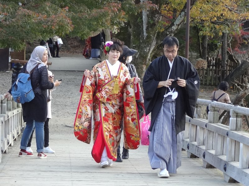 2017_Japon_Nara-5-Etang_Sagi-ike+pavillon_Ukimido_06