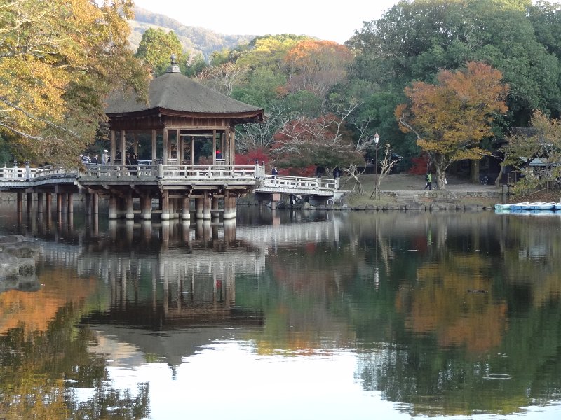 2017_Japon_Nara-5-Etang_Sagi-ike+pavillon_Ukimido_14